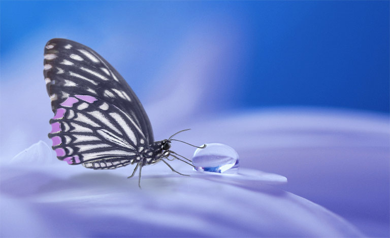 Anxiety, Panic Attacks & Phobias. anxiety-fw